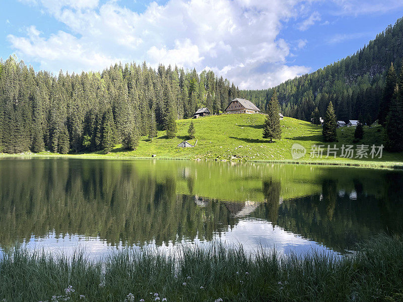 湖上的山地牧场Planina pri Jezeru，朱利安阿尔卑斯山